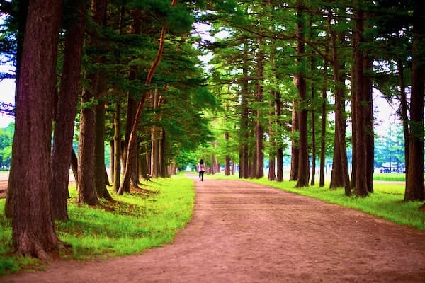 駒場公園